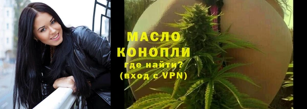 ешки Вяземский