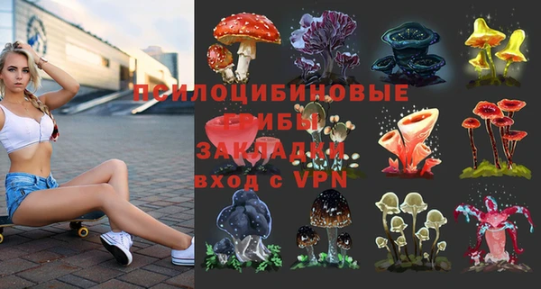ешки Вяземский