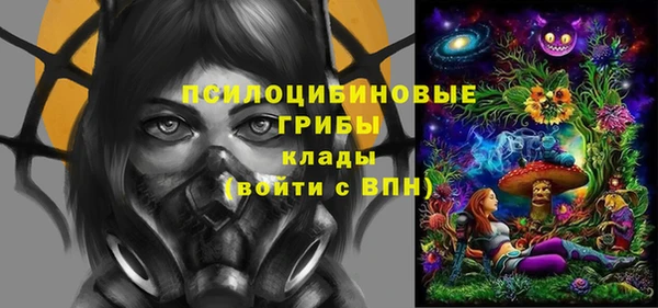 ешки Вяземский