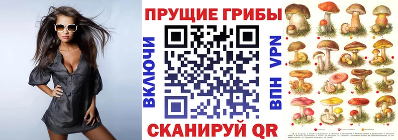 магазин продажи   Вилючинск  Галлюциногенные грибы ЛСД 
